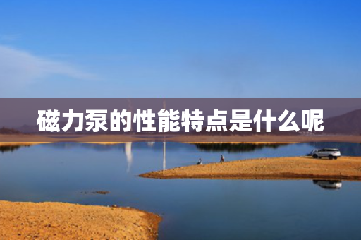 磁力泵的性能特点是什么呢