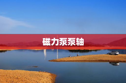 磁力泵泵轴