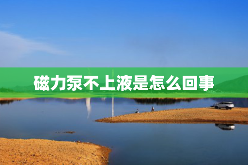 磁力泵不上液是怎么回事