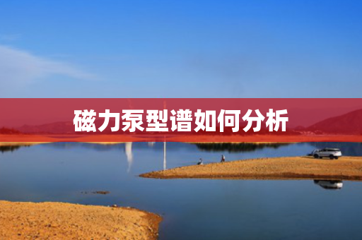 磁力泵型谱如何分析