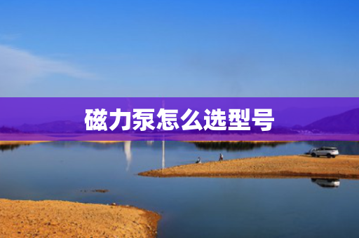 磁力泵怎么选型号