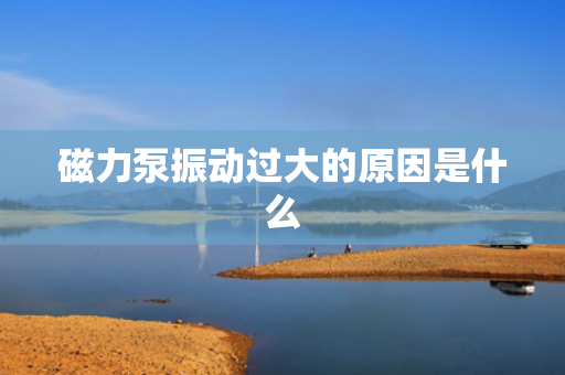 磁力泵振动过大的原因是什么