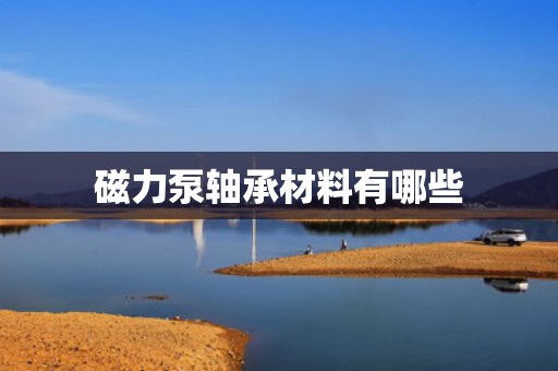 磁力泵轴承材料有哪些