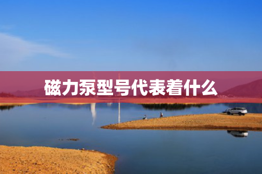 磁力泵型号代表着什么