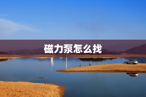 磁力泵怎么找