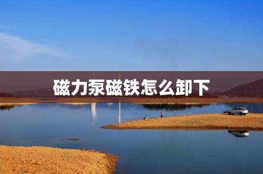 磁力泵磁铁怎么卸下