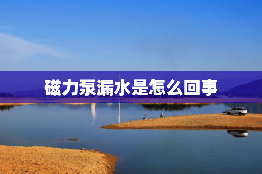 磁力泵漏水是怎么回事