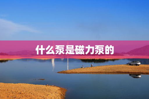 什么泵是磁力泵的
