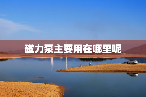 磁力泵主要用在哪里呢