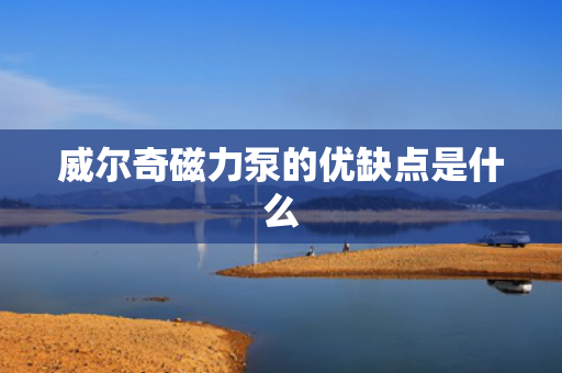 威尔奇磁力泵的优缺点是什么