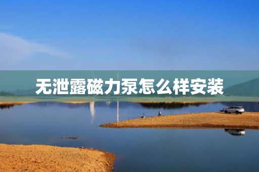 无泄露磁力泵怎么样安装