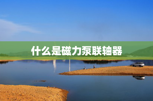 什么是磁力泵联轴器