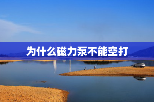 为什么磁力泵不能空打