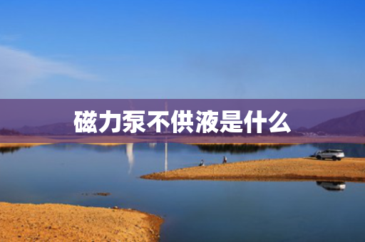 磁力泵不供液是什么
