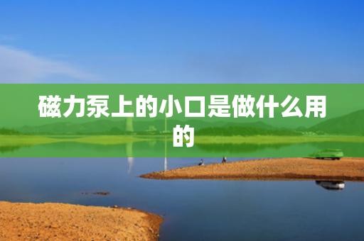 磁力泵上的小口是做什么用的