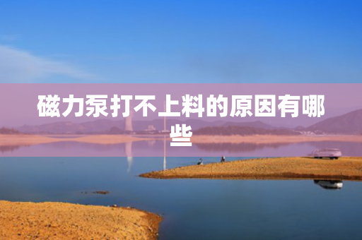 磁力泵打不上料的原因有哪些