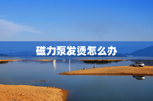 磁力泵发烫怎么办