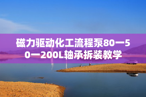 磁力驱动化工流程泵80一50一200L轴承拆装教学