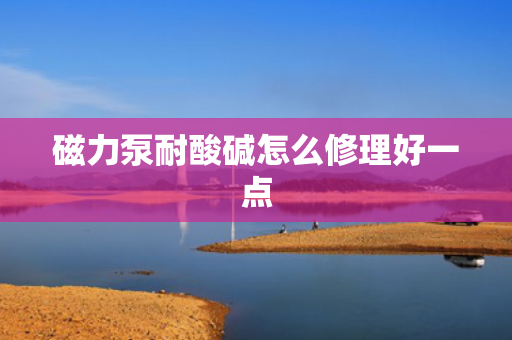 磁力泵耐酸碱怎么修理好一点