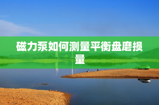 磁力泵如何测量平衡盘磨损量