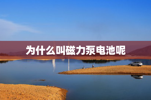 为什么叫磁力泵电池呢