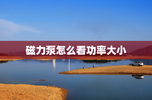 磁力泵怎么看功率大小