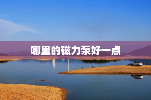 哪里的磁力泵好一点