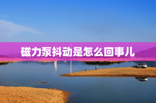磁力泵抖动是怎么回事儿