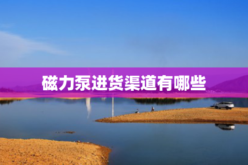 磁力泵进货渠道有哪些