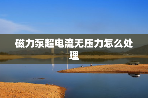 磁力泵超电流无压力怎么处理
