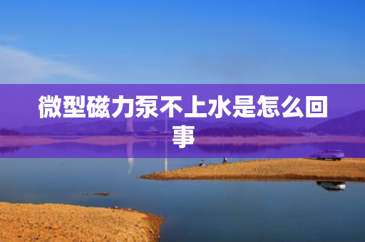 微型磁力泵不上水是怎么回事