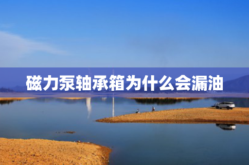 磁力泵轴承箱为什么会漏油