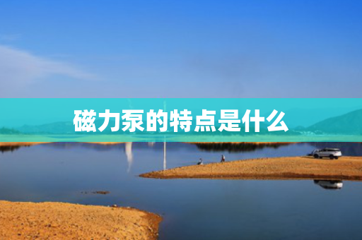 磁力泵的特点是什么