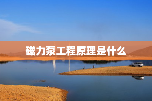 磁力泵工程原理是什么