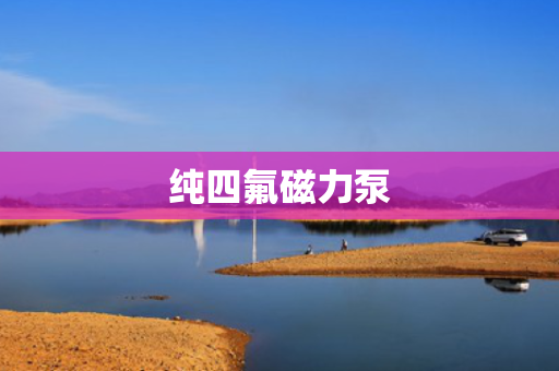 纯四氟磁力泵