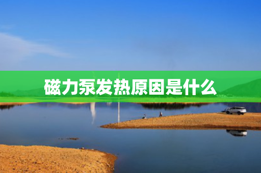 磁力泵发热原因是什么