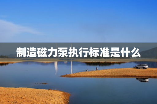 制造磁力泵执行标准是什么