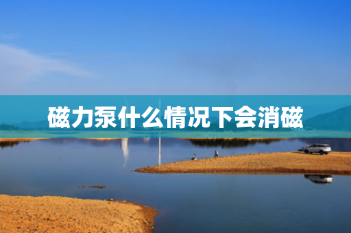 磁力泵什么情况下会消磁
