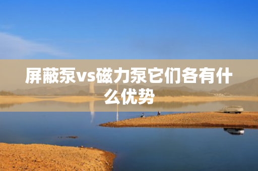 屏蔽泵vs磁力泵它们各有什么优势