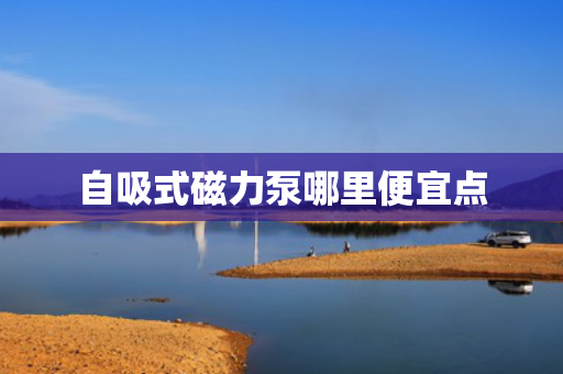 自吸式磁力泵哪里便宜点
