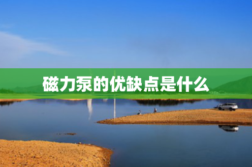 磁力泵的优缺点是什么