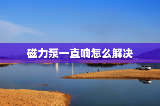 磁力泵一直响怎么解决