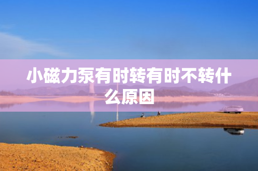 小磁力泵有时转有时不转什么原因