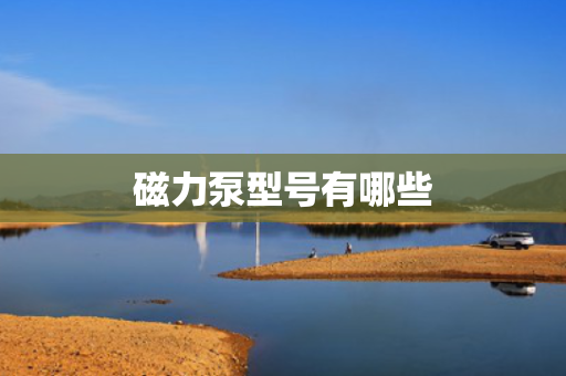 磁力泵型号有哪些
