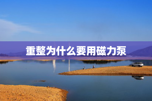 重整为什么要用磁力泵