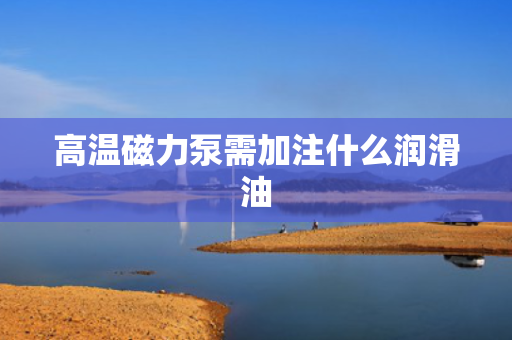 高温磁力泵需加注什么润滑油