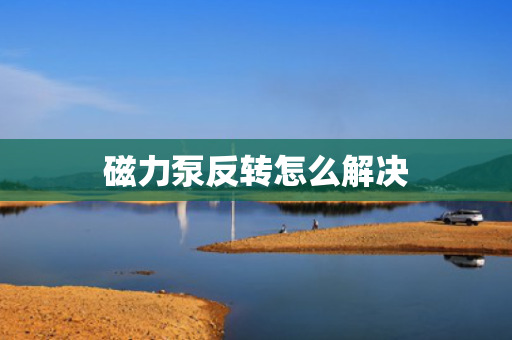 磁力泵反转怎么解决