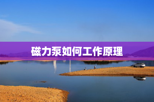 磁力泵如何工作原理