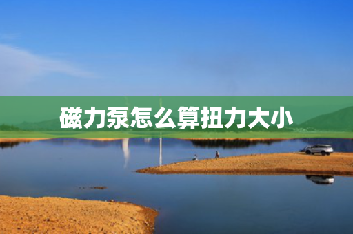 磁力泵怎么算扭力大小