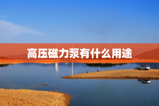 高压磁力泵有什么用途